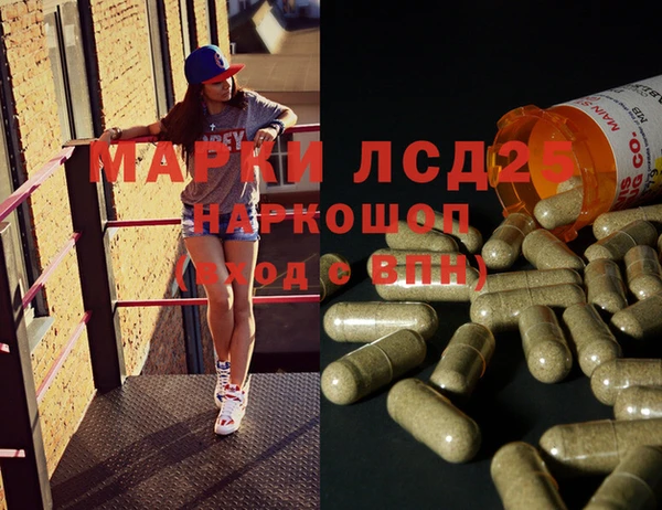 ПСИЛОЦИБИНОВЫЕ ГРИБЫ Алексин