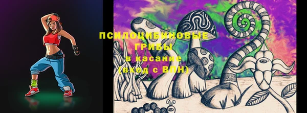 мдпв Арсеньев