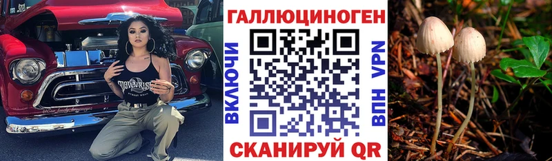 Псилоцибиновые грибы Cubensis  гидра как зайти  Ноябрьск  закладка 