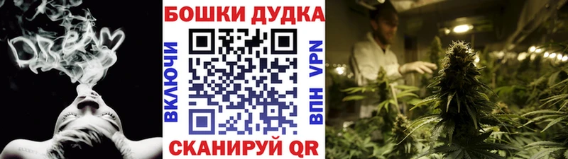 где можно купить   даркнет формула  Шишки марихуана индика  Ноябрьск 
